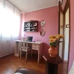 Il Geco